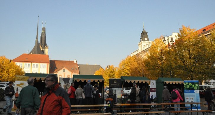 DSC_8444.JPG